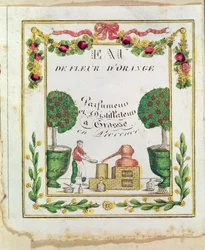 Vignette de 
